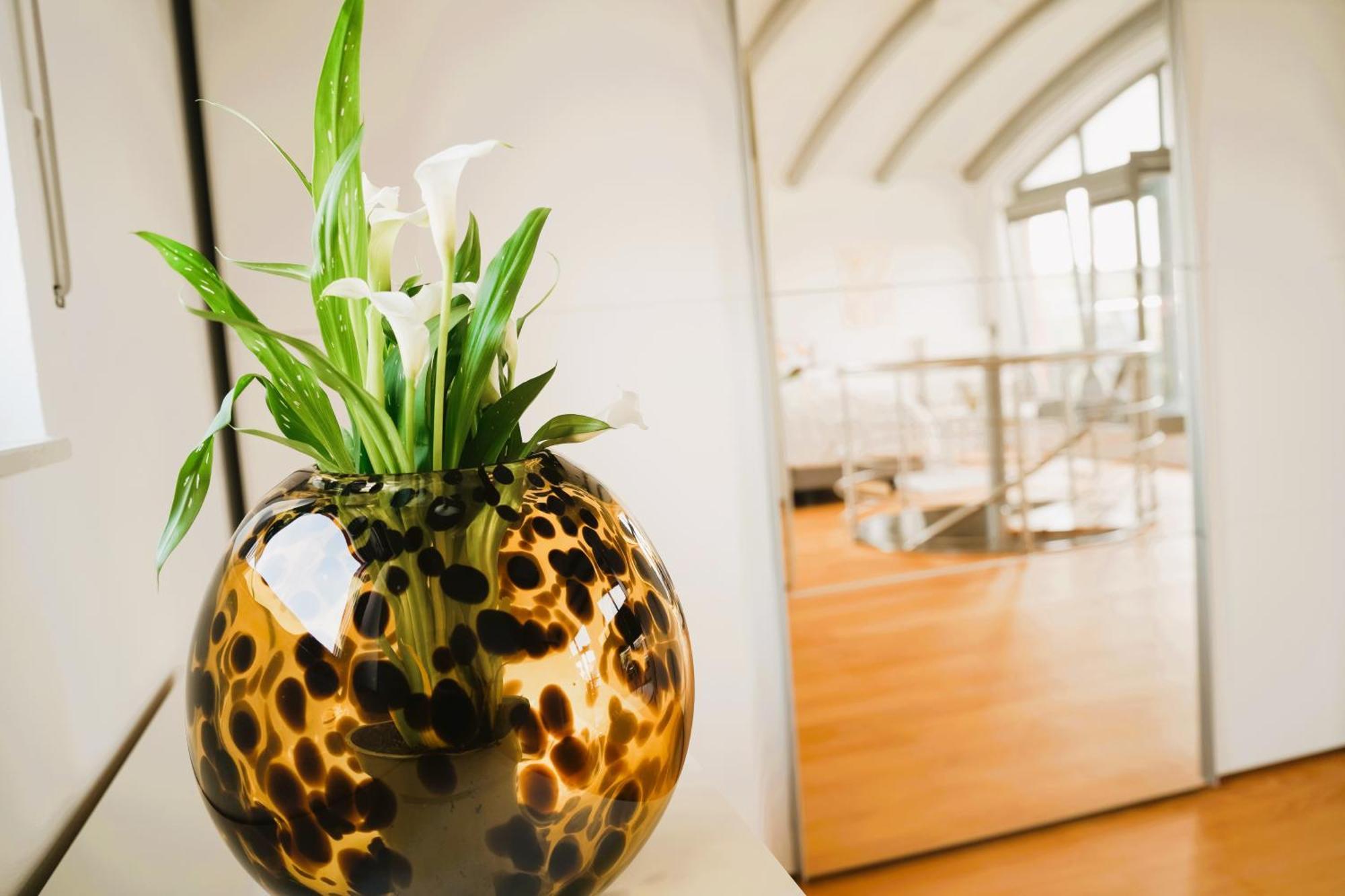 Apartment Penthouse Am Dom Altstadt In 200 M, 4 Dachterrassen, Stilvoll Und Ruhig